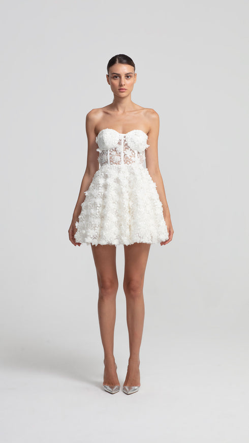 3D Floral Pattern Mini Transparent Dress